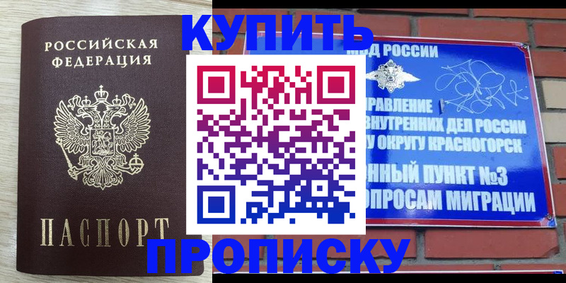 прописка гарантия в Мариинском Посаде